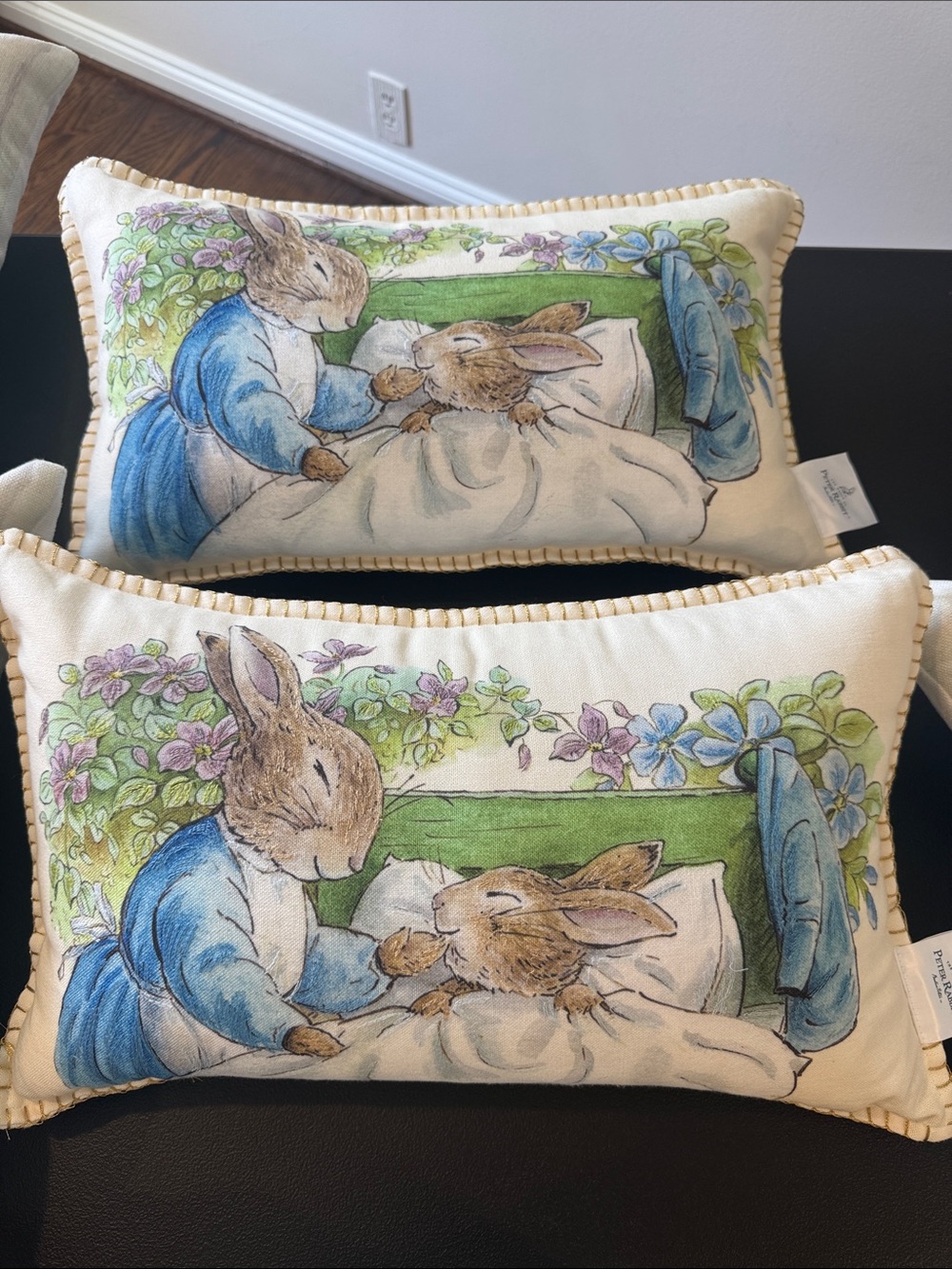 2 Storybook Bunny Decorative Pillow - Cream and Blue